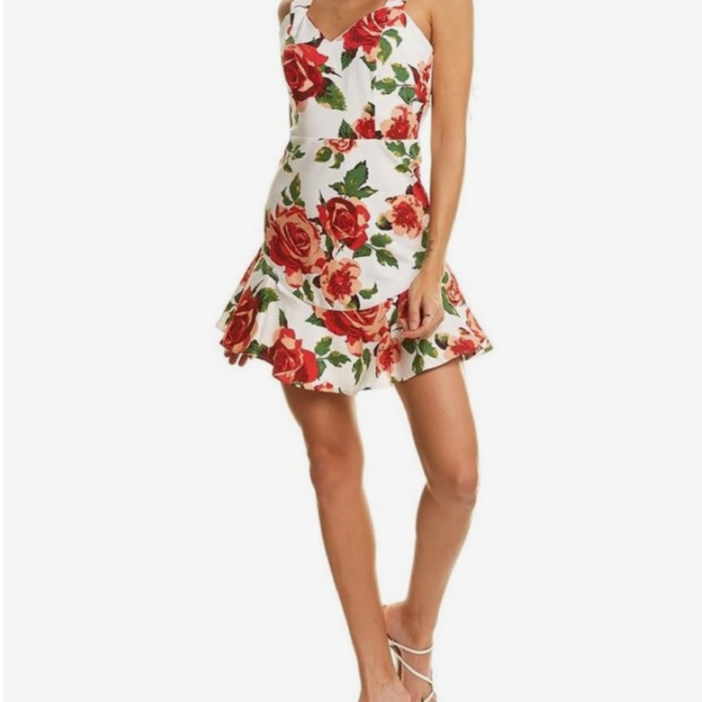 Flying Tomato Floral Rose Dress